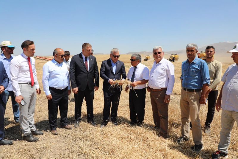 TRİTİKALE HASAT TÖRENİ YAPILDI