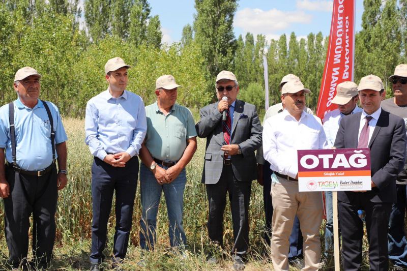 ÇONGAR KÖYÜNDE TARLA GÜNÜ ETKİNLİĞİ DÜZENLENDİ